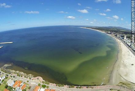 Aerial photo of the beach - Department of Maldonado - URUGUAY. Photo #61688