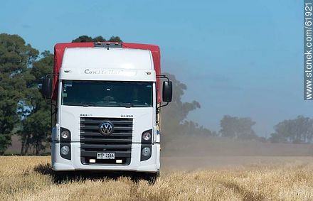 Truck load of freshly harvested grains - Durazno - URUGUAY. Foto No. 61921