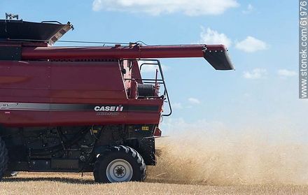 Massey Ferguson combine harvester on a wheat field - Durazno - URUGUAY. Photo #61976