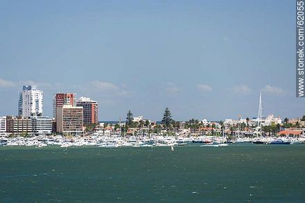 Port area from afar - Punta del Este and its near resorts - URUGUAY. Photo #62055
