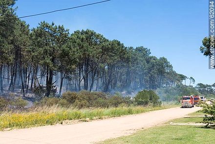Fire at Rincón del Indio - Punta del Este and its near resorts - URUGUAY. Photo #62094