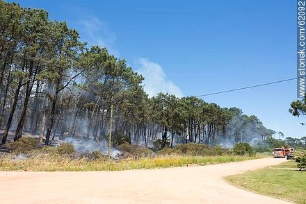 Fire at Rincón del Indio - Punta del Este and its near resorts - URUGUAY. Photo #62092