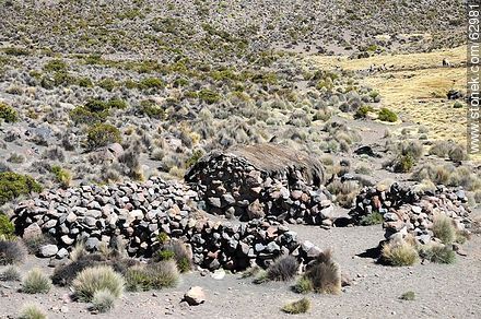Tambo Quemado border of Bolivia and Chile - Bolivia - Others in SOUTH AMERICA. Foto No. 62981