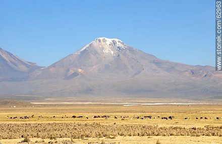 Mountains in the Sajama Park - Bolivia - Others in SOUTH AMERICA. Foto No. 62963