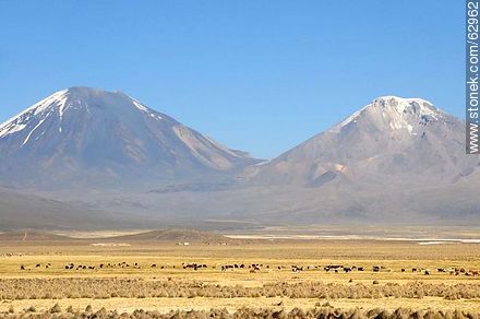 Mountains in the Sajama Park - Bolivia - Others in SOUTH AMERICA. Foto No. 62962