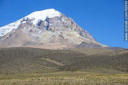 Sajama volcano of 6540m high - Bolivia - Others in SOUTH AMERICA. Foto No. 62950