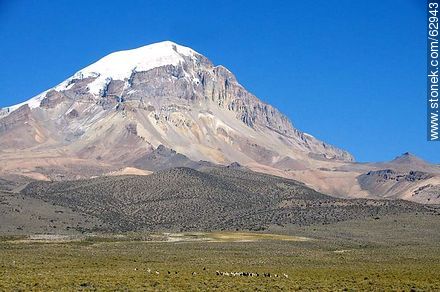 Sajama Volcano - Bolivia - Others in SOUTH AMERICA. Foto No. 62943