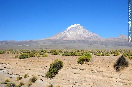 Sajama National Park - Bolivia - Others in SOUTH AMERICA. Foto No. 62938