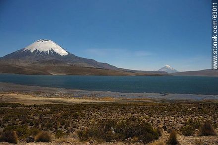 Snowy Volcano Parinacota and Lake Chungará - Chile - Others in SOUTH AMERICA. Photo #63011