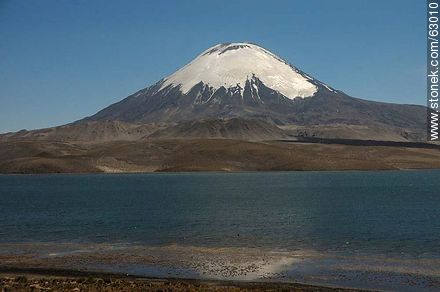 Snowy Volcano Parinacota and Lake Chungará - Chile - Others in SOUTH AMERICA. Photo #63010