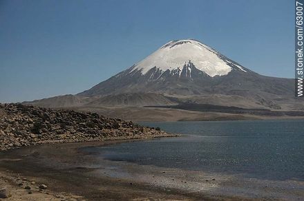 Snowy Volcano Parinacota and Lake Chungará - Chile - Others in SOUTH AMERICA. Photo #63007