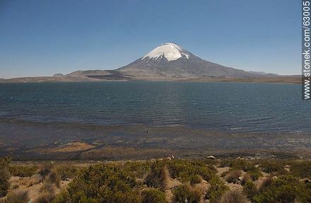 Snowy Volcano Parinacota and Lake Chungará - Chile - Others in SOUTH AMERICA. Photo #63005