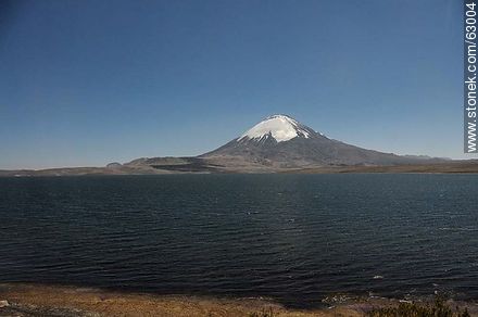 Snowy Volcano Parinacota and Lake Chungará - Chile - Others in SOUTH AMERICA. Photo #63004
