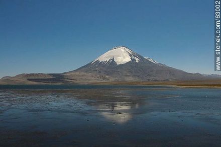 Snowy Volcano Parinacota and Lake Chungará - Chile - Others in SOUTH AMERICA. Photo #63002