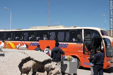 Ómnibus de recorrido La Paz - Arica - Chile - Otros AMÉRICA del SUR. Foto No. 62999