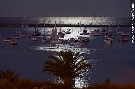 Puerto del Buceo lit by moonlight - Department of Montevideo - URUGUAY. Photo #63808