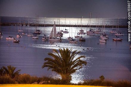 Puerto del Buceo lit by moonlight - Department of Montevideo - URUGUAY. Photo #63807