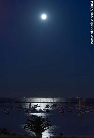 Luna llena iluminando el Puerto del Buceo - Departamento de Montevideo - URUGUAY. Foto No. 63804