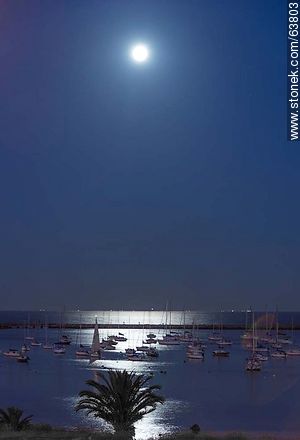 Luna llena iluminando el Puerto del Buceo - Departamento de Montevideo - URUGUAY. Foto No. 63803