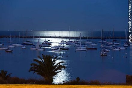 Puerto del Buceo lit by moonlight - Department of Montevideo - URUGUAY. Foto No. 63802