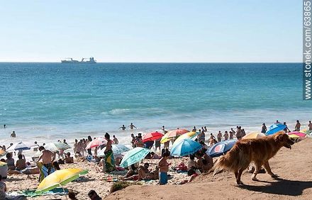 Playa de Viña del Mar días previos al final de las vacaciones - Chile - Otros AMÉRICA del SUR. Foto No. 63865