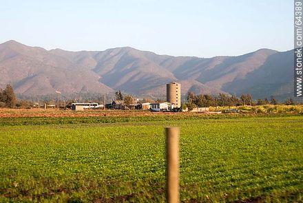 A. Concón. Campos sembrados y cerros - Chile - Otros AMÉRICA del SUR. Foto No. 64389