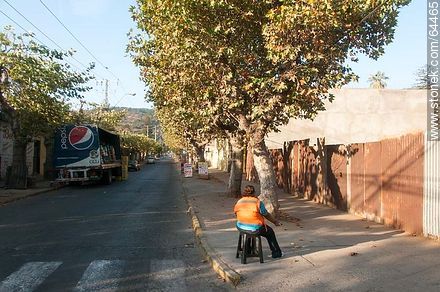 Street of Limache - Chile - Others in SOUTH AMERICA. Photo #64465