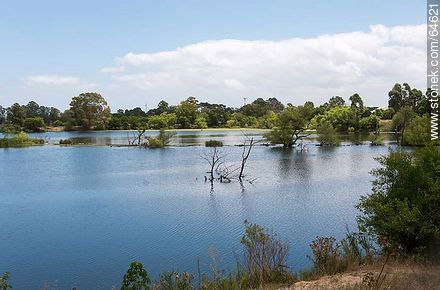 Los Lagos de Carrasco - Departamento de Montevideo - URUGUAY. Foto No. 64621