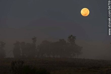 Luna llena en el campo al amanecer -  - URUGUAY. Foto No. 64709