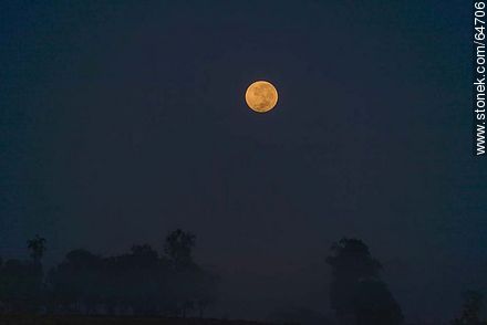 Full moon on the field at sunrise -  - MORE IMAGES. Photo #64706