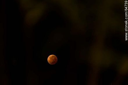 Total Eclipse of the Moon, 2014 -  - MORE IMAGES. Photo #64739
