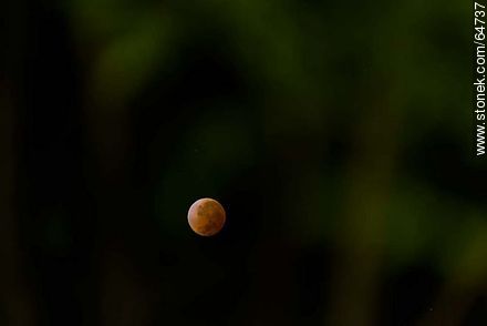 Total Eclipse of the Moon, 2014 -  - MORE IMAGES. Photo #64737