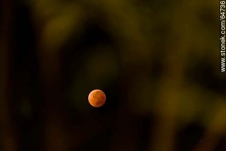 Total Eclipse of the Moon, 2014 -  - MORE IMAGES. Photo #64736