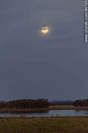 Full moon in the field at sunset -  - URUGUAY. Photo #64735