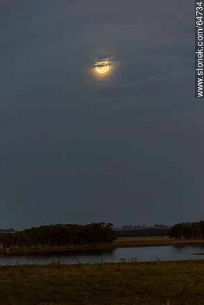 Full moon in the field at sunset -  - URUGUAY. Photo #64734