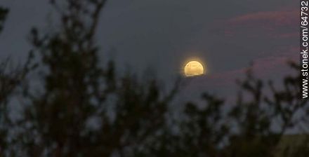 Full moon in the field at sunset -  - MORE IMAGES. Photo #64732
