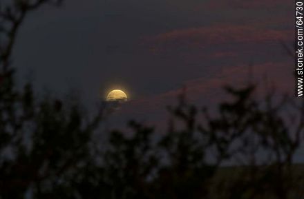 Full moon in the field at sunset -  - URUGUAY. Photo #64730
