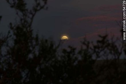 Luna llena en el campo al atardecer -  - URUGUAY. Foto No. 64729