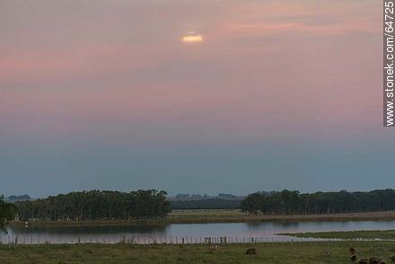 Full moon in the field at sunset -  - URUGUAY. Photo #64725