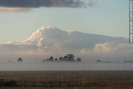Sunrise with fog on the field -  - URUGUAY. Foto No. 64800