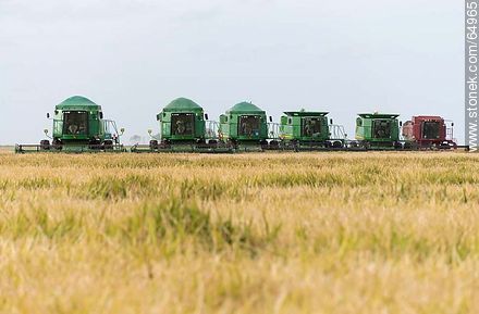 Rice harvesters -  - URUGUAY. Foto No. 64965
