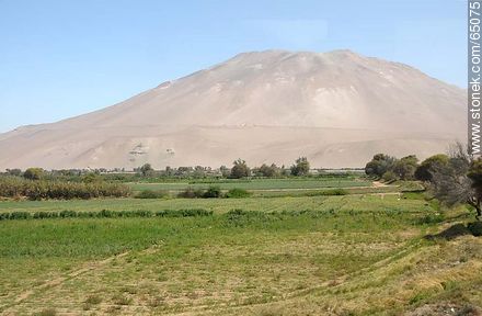 Valle de Lluta por la ruta 11 Libertador José San Martín - Chile - Otros AMÉRICA del SUR. Foto No. 65075