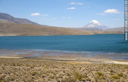 Chungará Lake. Sajama volcano in Bolivia - Chile - Others in SOUTH AMERICA. Photo #65156