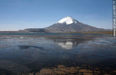 Chungará Lake. Parinacota volcano - Chile - Others in SOUTH AMERICA. Photo #65171