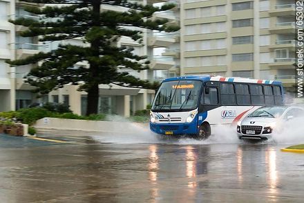 Car and bus circulating on the flooded promenade - Punta del Este and its near resorts - URUGUAY. Foto No. 65302