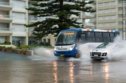 Car and bus circulating on the flooded promenade - Punta del Este and its near resorts - URUGUAY. Photo #65303