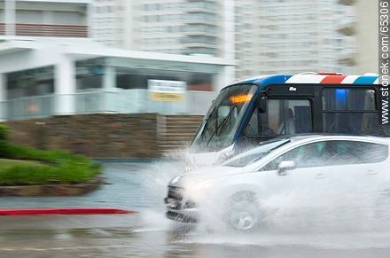 Car and bus circulating on the flooded promenade - Punta del Este and its near resorts - URUGUAY. Foto No. 65306