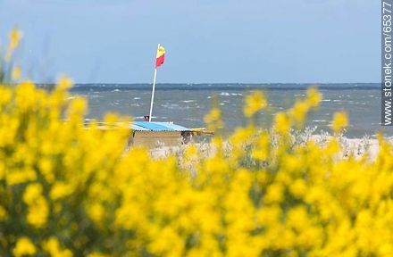 Bandera amarillo y rojo en la playa - Departamento de Maldonado - URUGUAY. Foto No. 65377