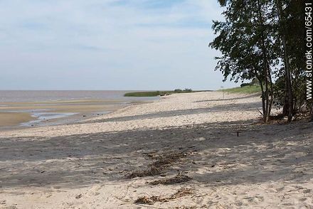 Playa sobre el Río Uruguay - Departamento de Colonia - URUGUAY. Foto No. 65431