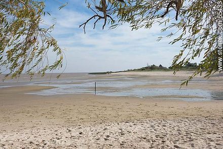 Playa sobre el Río Uruguay - Departamento de Colonia - URUGUAY. Foto No. 65433